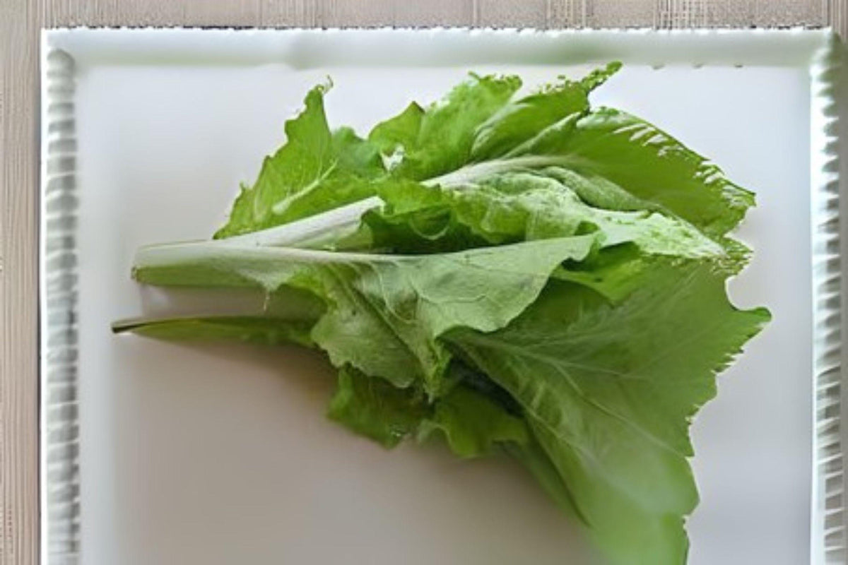 Frilly Leaf Pak Choi Seeds Fun Jen Hybrid Asian Green Brassica rapa var. chinensis, Compact, Fast-Growing, for Stir-Fries & Salads