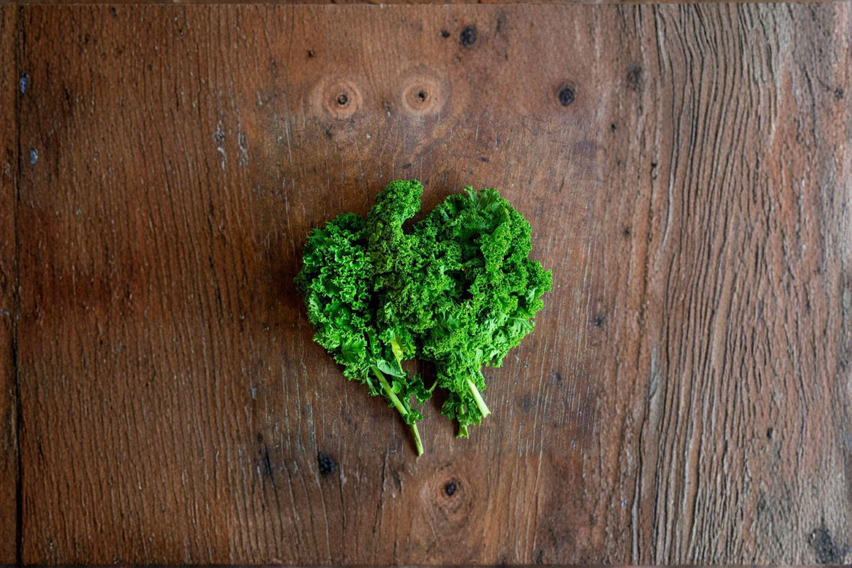 Kale Seeds – Dwarf Blue Curled Scotch Heirloom, Cold-Hardy, Compact Brassica oleracea var. sabellica, 350 Seeds
