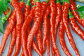 Red Dragon Cayenne Pepper Starter Plants – High Yield, Spicy Chili for Hot Sauce & Cooking, Edible Plant, Capsicum annuum