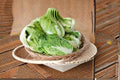 Chinese Cabbage Matsushima Seeds – Napa-Type Brassica rapa pekinensis for Crisp, Mild Flavor, Uniform Heads, Cool-Season Growing