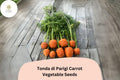 1000+ Tonda di Parigi Carrot Seeds – Heirloom, Round Baby Carrots
