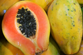 25 Solo Sunset Papaya Seeds - Fast-Growing Tropical Fruit Tree with Red/Pink Flesh, Container Friendly, Carica papaya
