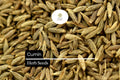 250 Cumin Seeds – Aromatic Culinary Herb for Cooking – Cuminum cyminum Spice for Soups, Stews, Curries, and More