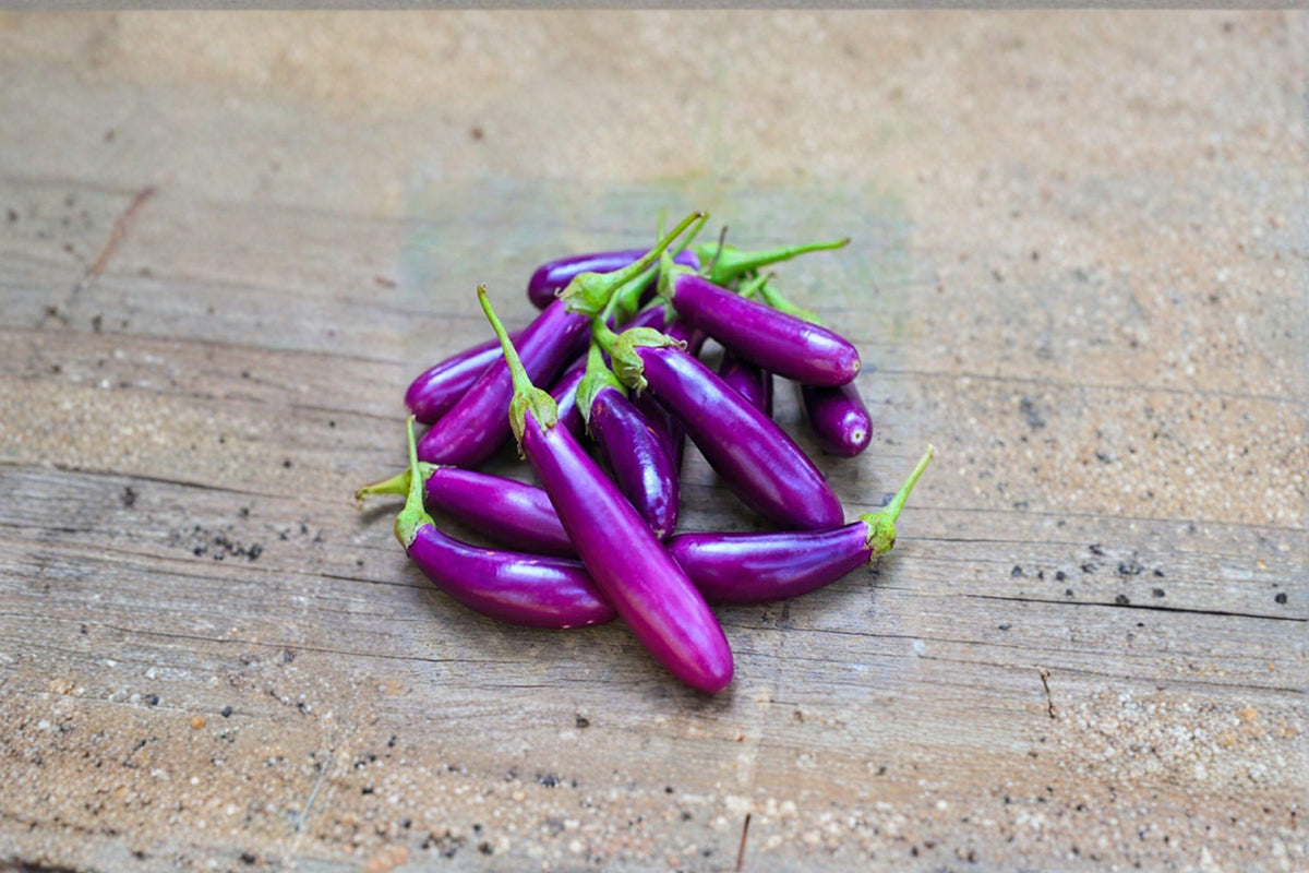 Eggplant Seeds – Long Purple Heirloom, Slender Fruits, Solanum melongena, 50 Seeds