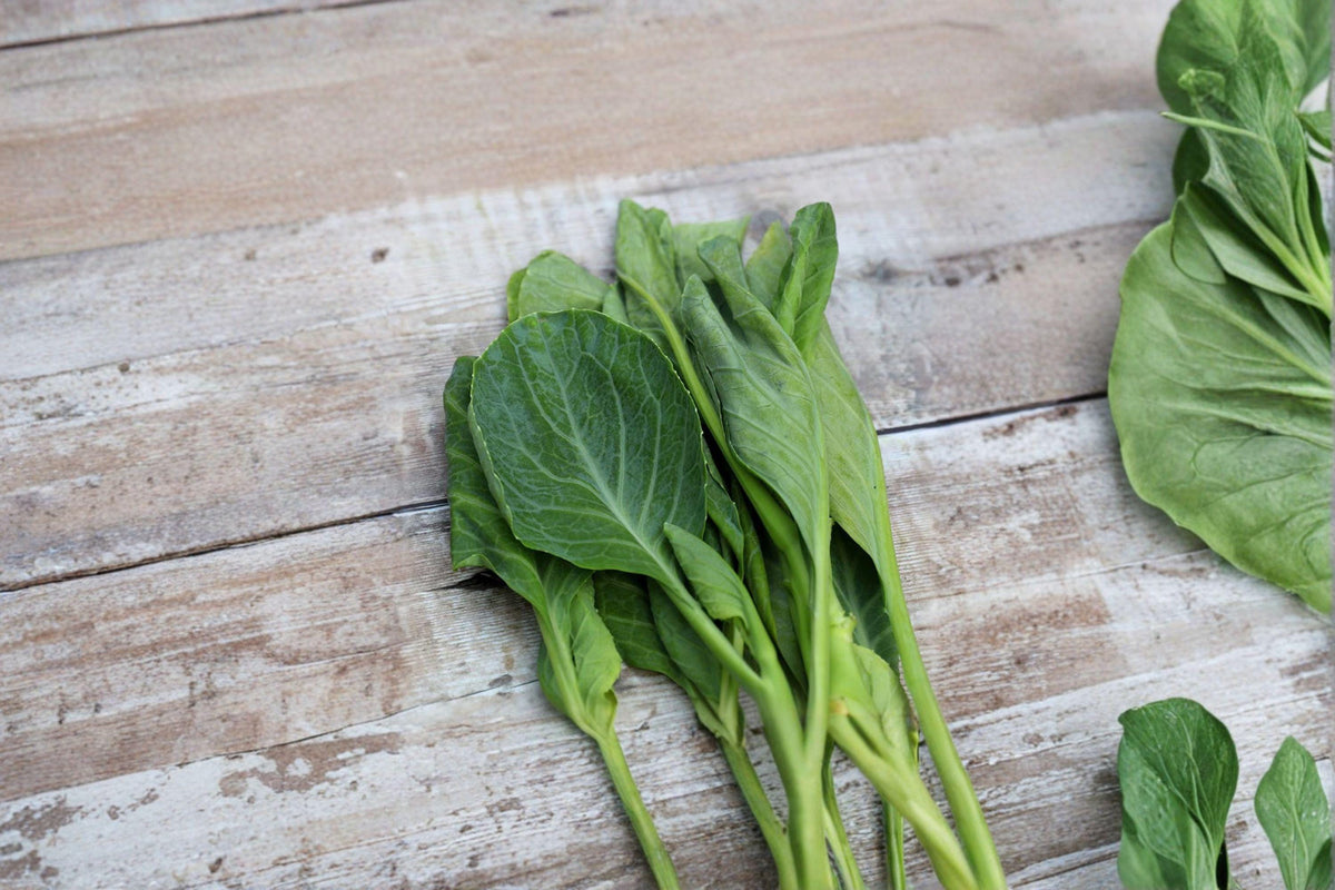 Chinese Broccoli Kailaan Seeds – Open Pollinated, Asian Greens, Gai Lan Style, Tender Stems & Leaves, Brassica oleracea