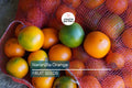 20 Naranjilla (Solanum quitoense) Seeds – Exotic Tropical Fruit Plant, Lulo Quito Orange Tree, Fast Fruiting, Container-Friendly, Zone 10-12