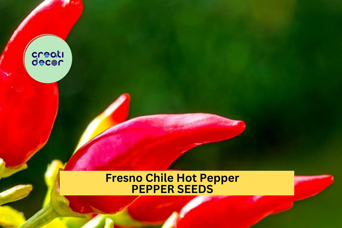 3pcs Fresno Chile Hot Pepper Seeds – Medium-Heat Red Capsicum annuum for Salsa, Pickling, Roasting & Container Gardening