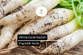 200 Seeds White Icicle Radish (Raphanus sativus) – Crisp, Mild, Fast-Growing White Radish Variety for Salad, Pickling & Container Gardening
