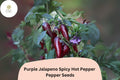 25+ Purple Jalapeño Seeds | Spicy Hot Pepper | Unique Dark Color | Non-GMO Garden Planting