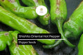 10 Shishito Pepper Seeds – Mild Japanese Green Pepper for Grilling, Sautéing & Snacking – Capsicum annuum