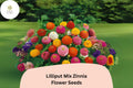 100+ Lilliput Mix Zinnia Seeds – Small Pompon Blooms for Borders, Bouquets & Gardens, Zinnia elegans, Vibrant Colors