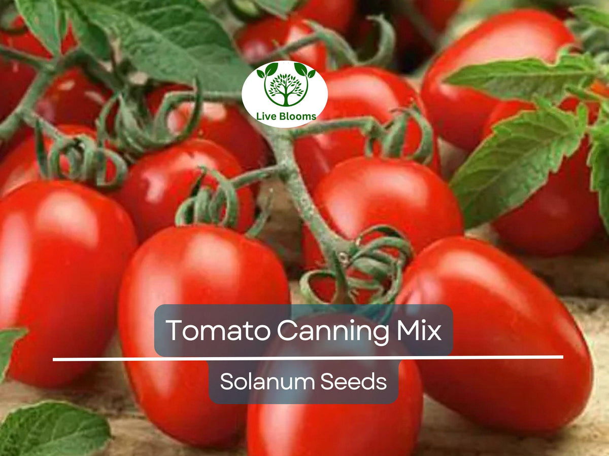 100 Tomato Seeds Mix - Heirloom Canning, Sauce & Paste Varieties, Non-GMO, Indeterminate, Lycopersicon esculentum