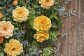 Julia Child Rose Cuttings – 3 Live Unrooted Floribunda Rose Stems for Propagation, Garden Planting, Rosa ‘Julia Child’