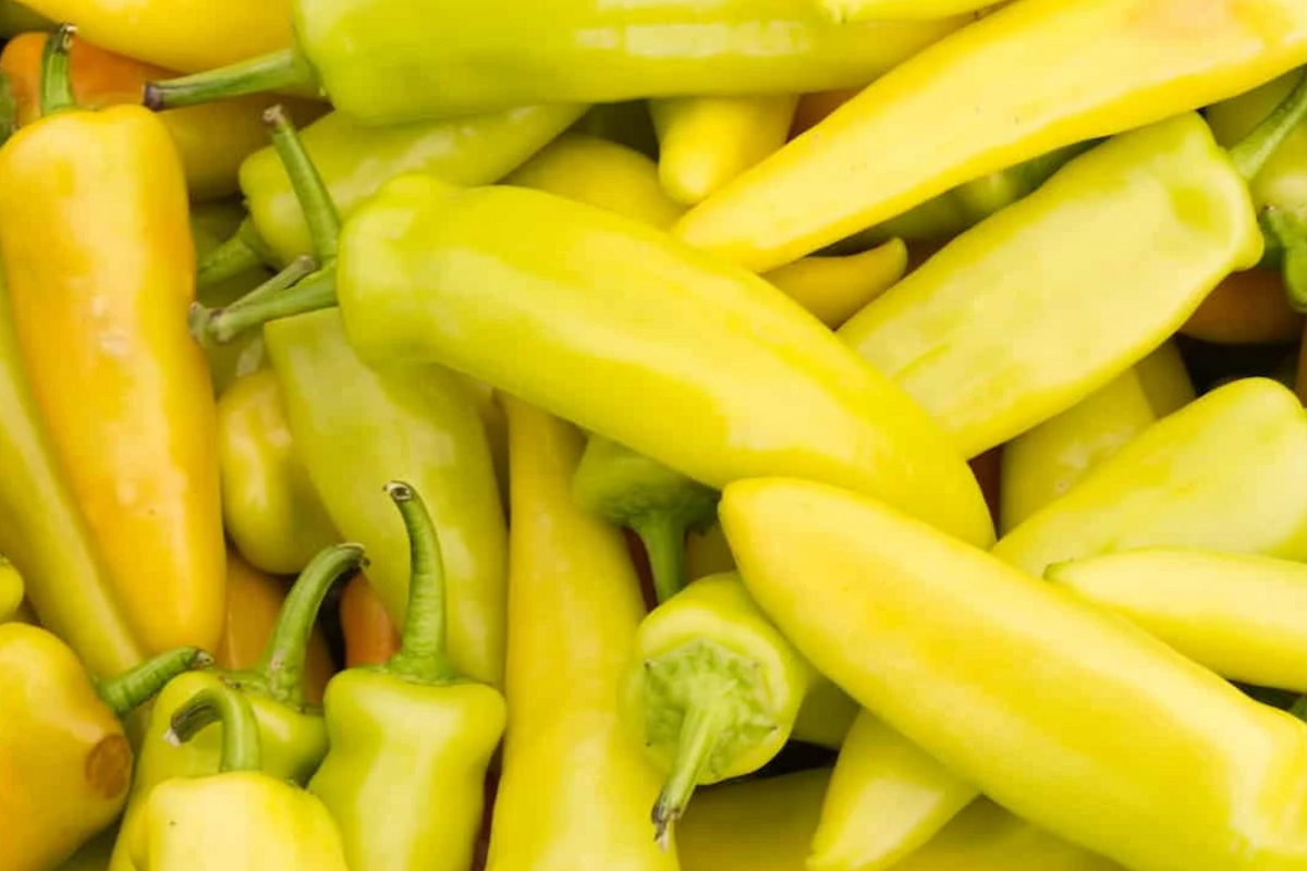 Hungarian Wax Hot Pepper Seeds – Heirloom, Non-GMO, Medium-Heat Capsicum annuum, Spicy Banana Peppers for Canning & Fresh Use