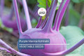 Purple Vienna Kohlrabi Seeds – Non-GMO Heirloom, Cool Season Root Vegetable, Fast Growing, 4-Inch Bulbs, Garden & Home Gardening