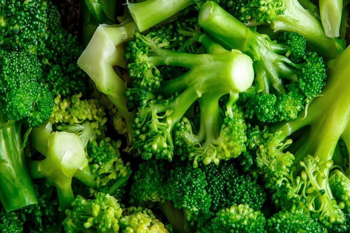 Waltham 29 Broccoli Seeds - Non-GMO Heirloom, Cold Hardy, Vegetable Seeds, Spring & Fall Planting, USA Seller