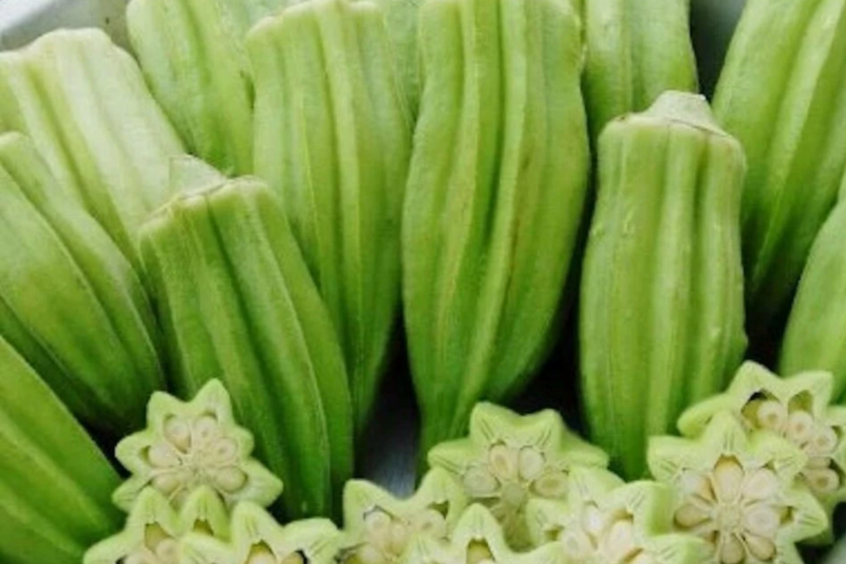 Star of David Okra Seeds – Heirloom Non-GMO, Unique Star-Shaped Pods, High-Yield Abelmoschus esculentus, Vegetable Gardening