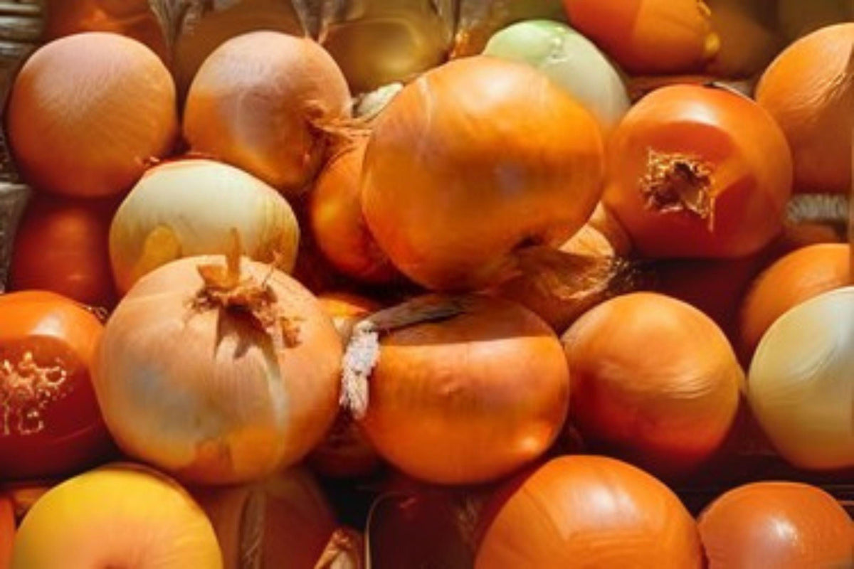 Utah Yellow Sweet Spanish Onion Seeds – Heirloom Non-GMO, Large Bulb, Mild Sweet Flavor, Allium cepa, 250 mg