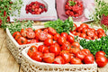Tomato Seeds VR Moscow – Early, Cold Tolerant, Short-Season Solanum lycopersicum, 30 Seeds