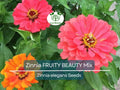 200 Seeds Zinnia FRUITY BEAUTY Mix, Vibrant Annual Flowers for Garden, Butterfly & Hummingbird Attractant, Non-GMO, Easy to Grow