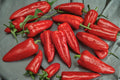 Giant Marconi Red Sweet Pepper Seeds – Heirloom Capsicum annuum, Large Red Peppers for Grilling, Roasting, and Fresh Eating