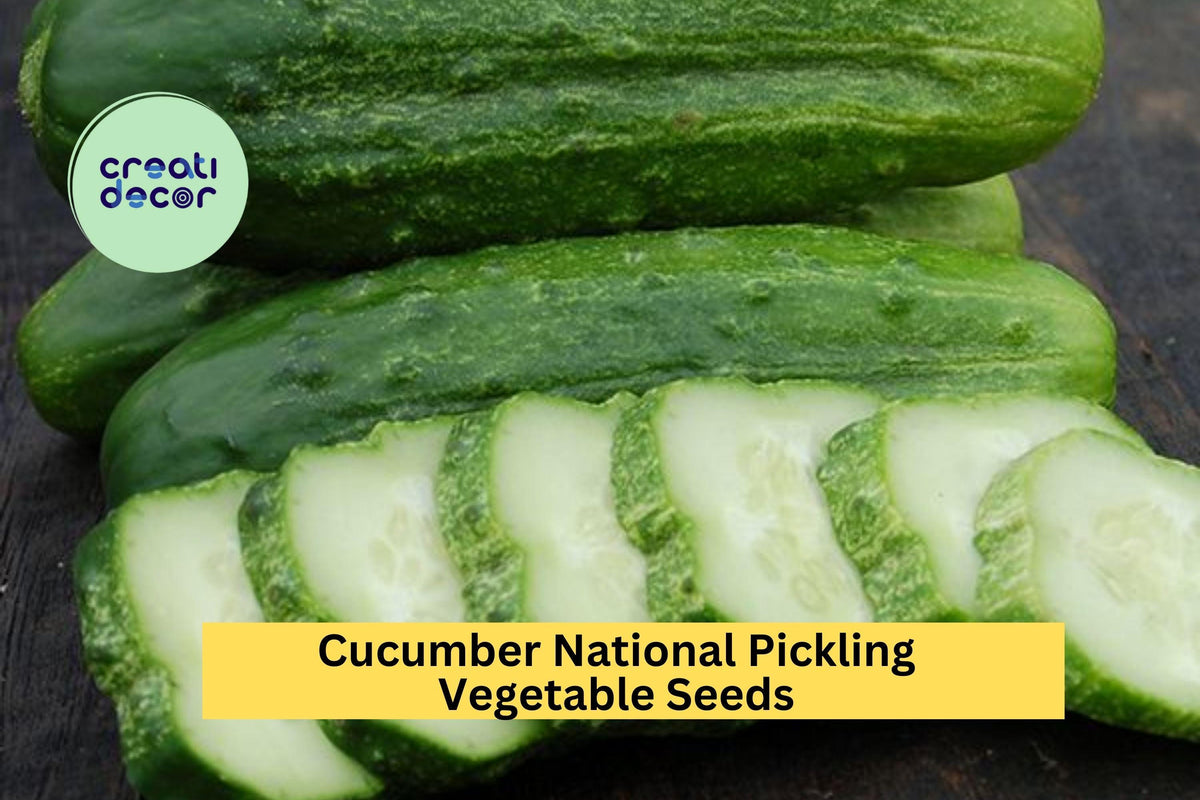 3pcs Cucumber Seeds – National Pickling Heirloom Variety for Crisp Pickles & Fresh Use – Cucumis sativus