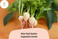 Rido Red Radish Seeds – Heirloom Round Red Raphanus sativus for Spring & Fall Garden Planting, Non-GMO, 500+ Seeds