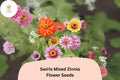 100+ Swirls Mix Zinnia Seeds – Colorful Heirloom Non-GMO Annual Flowers for Garden & Cut Arrangements