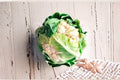 Self Blanching Cauliflower Seeds – Heirloom Brassica oleracea var. botrytis, Snow-White Heads, Easy to Grow, 250 Seeds