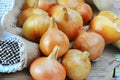 Burrell's Yellow Valencia Onion Seeds – Heirloom Allium cepa, Large Yellow Bulbs, Sweet Flavor, Vegetable Garden, 250 mg