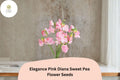 Elegance Pink Diana Sweet Pea Seeds, Pink Climbing Vine, Lathyrus odoratus, Garden Flower Seeds, Cut-Flower Plant, 50+ Seeds