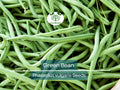 Green Bean Seeds Bulk - Jade Bush Phaseolus vulgaris, High Yield, Easy to Grow Vegetable Seeds for Home Garden