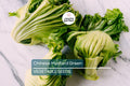 Chinese Mustard Green Seeds – Brassica juncea, Gai Choy, Cai Be Xanh, Fast-Growing, Nutrient-Rich, Home Garden, USA Seller