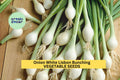 3pcs White Lisbon Bunching Onion Seeds – Mild Green Scallions, Fast-Growing Allium fistulosum for Gardens & Containers