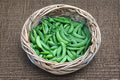 Edible Pod Sugar Snap Peas Seeds | Pisum sativum | Sweet Crunchy Pods | Cool-Season Garden Favorite | 30 Seeds