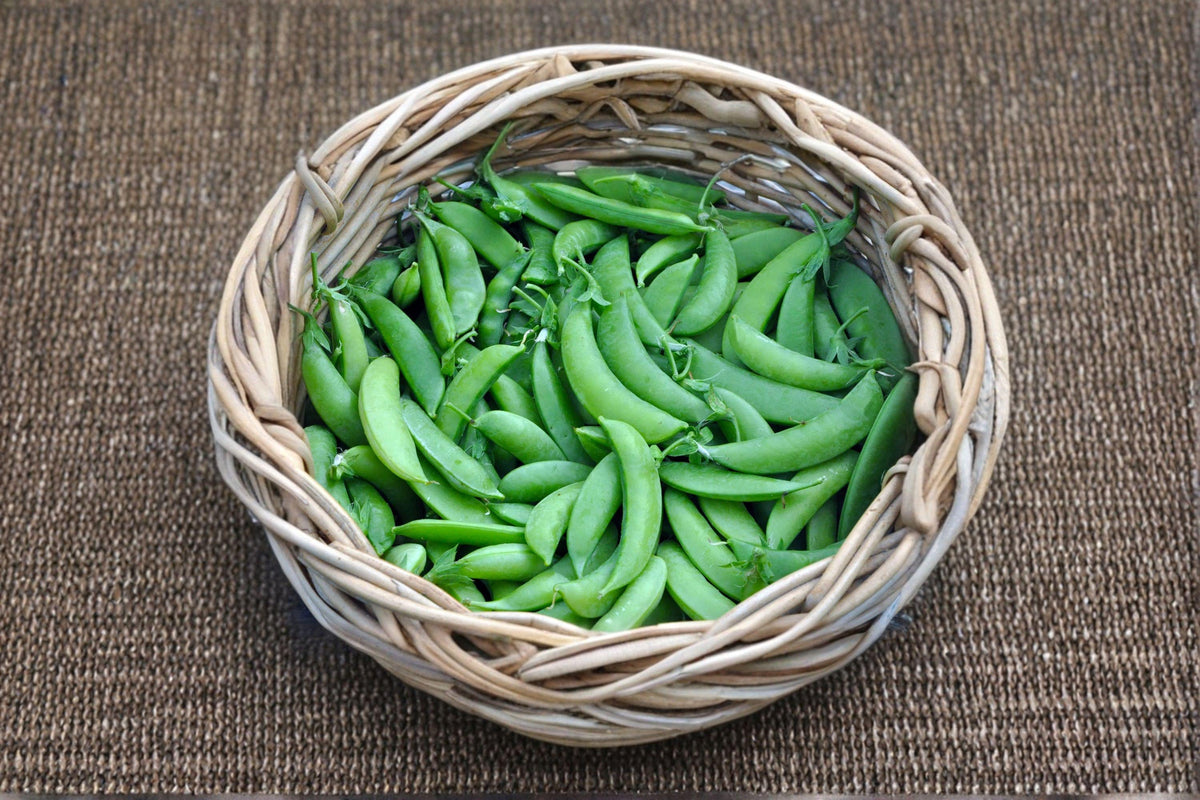 Edible Pod Sugar Snap Peas Seeds | Pisum sativum | Sweet Crunchy Pods | Cool-Season Garden Favorite | 30 Seeds