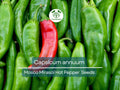 250 mg Mosco Mirasol Chile Seeds - Capsicum annuum Heirloom Guajillo Pepper for Cooking & Gardening