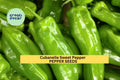 3pcs Cubanelle Sweet Pepper Seeds – Mild, Sweet Capsicum annuum for Frying, Stuffing & Salads, Garden Vegetable Seeds