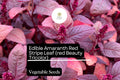 Edible Amaranth Seeds 500mg, Red Beauty, Tricolor Leaves, Amaranthus tricolor, Microgreens & Vegetables