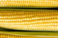 Baby Corn Seeds - Non-GMO Heirloom for Pickling & Cooking, Zea mays, Compact Annual Garden Seeds