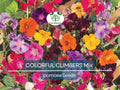Colorful Climbing Seeds Mix – Morning Glory, Sweet Pea, Nasturtium Vines, Non-GMO, Fast-Growing, Vertical Garden & Trellis Plants