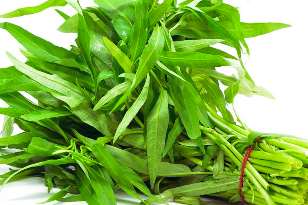 Thai Water Spinach Seeds - Ong Choy Kangkong, Non-GMO Ipomoea aquatica Garden Seeds for Home Cultivation