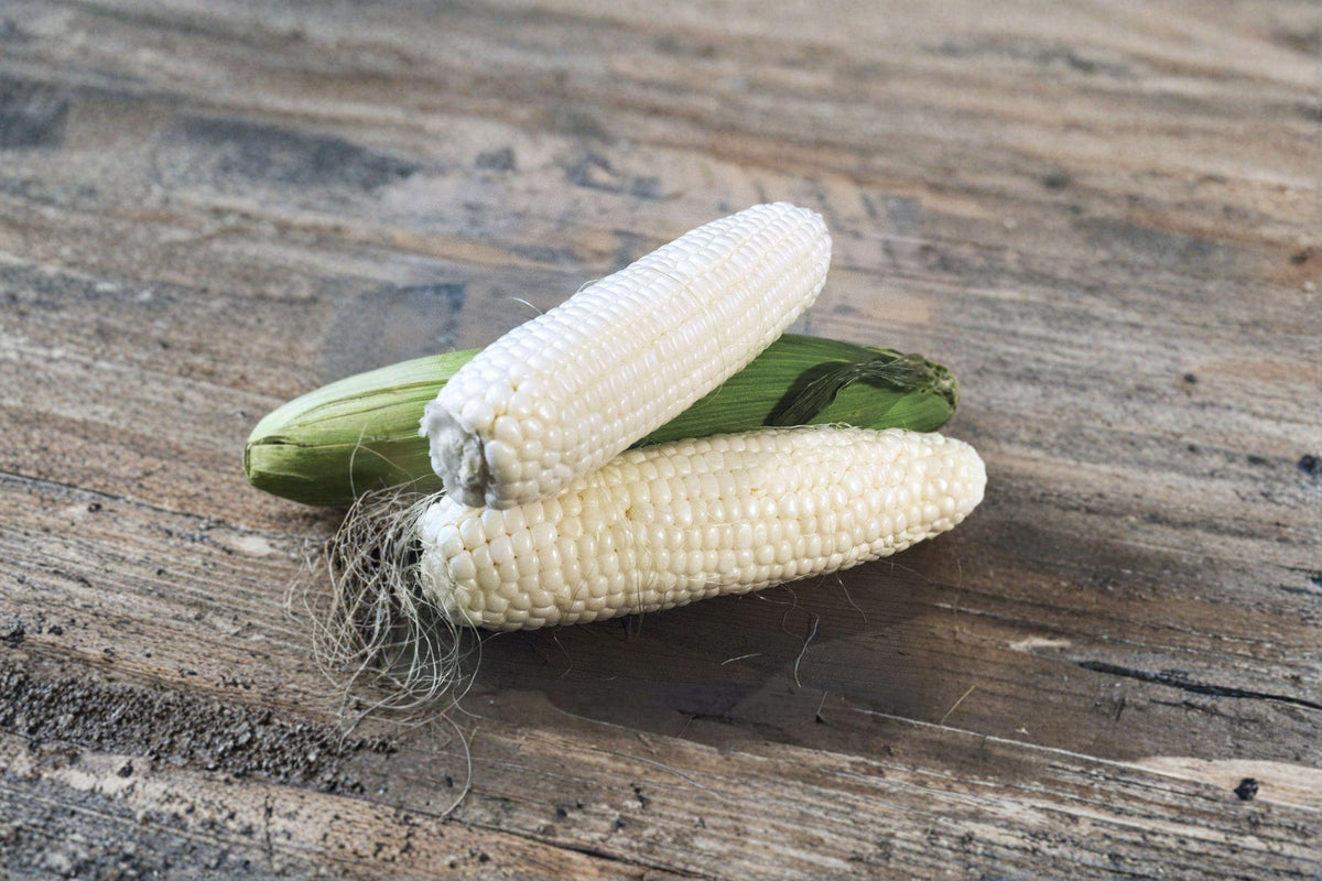 Sweet Corn Seeds – Silver Queen Hybrid, White Corn, Tender & Juicy Kernels, Home Garden, Zea mays