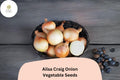 500+ Ailsa Craig Onion Seeds | Heirloom Sweet Allium cepa Garden Planting | Large Bulb, Gourmet Flavor