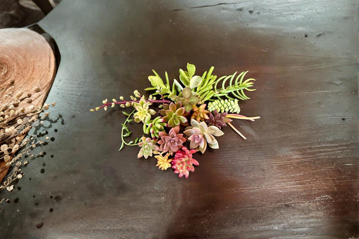 Assorted Succulents 15 Cuttings, Colorful Varieties, Indoor & Outdoor Container Plants, Low Water, Well-Draining Soil