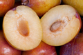 Grenade Pluot Scions for Grafting | Plum x Apricot Hybrid | Sweet Golden Fruit | Heavy Producer | 2-5 Inches