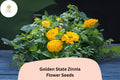 Golden State Zinnia Seeds – Bright Golden-Yellow Blooms for Pollinator Gardens – Zinnia elegans, Annual, Full Sun