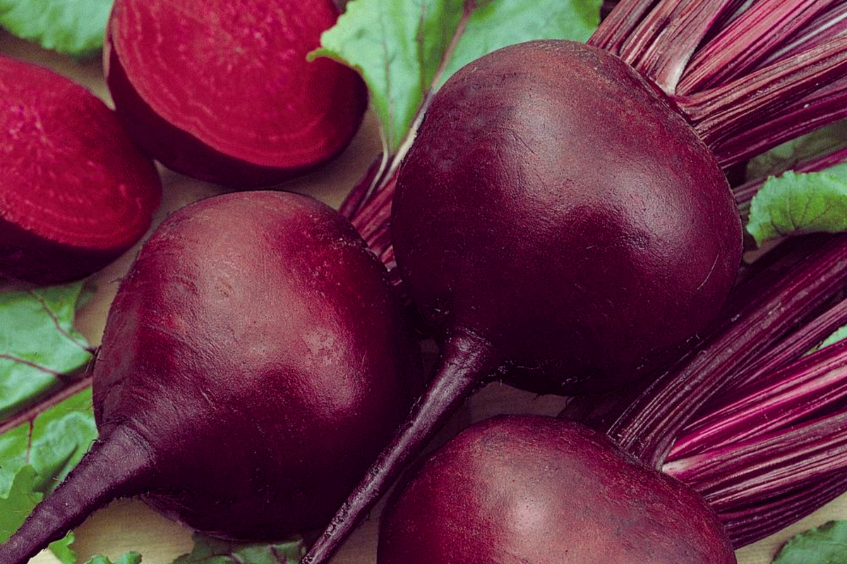 Red Beet Seeds - Non-GMO Vegetable Seeds for Home Garden - Beta vulgaris, Pack of 200