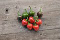 Red Cherry Sweet Pepper Seeds – Capsicum annuum, 25 Pack, Round Cherry Shape, Mild Sweet Flavor, Perfect for Stuffing & Pickling