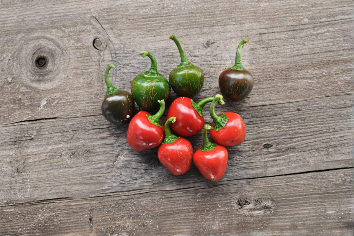 Red Cherry Sweet Pepper Seeds – Capsicum annuum, 25 Pack, Round Cherry Shape, Mild Sweet Flavor, Perfect for Stuffing & Pickling